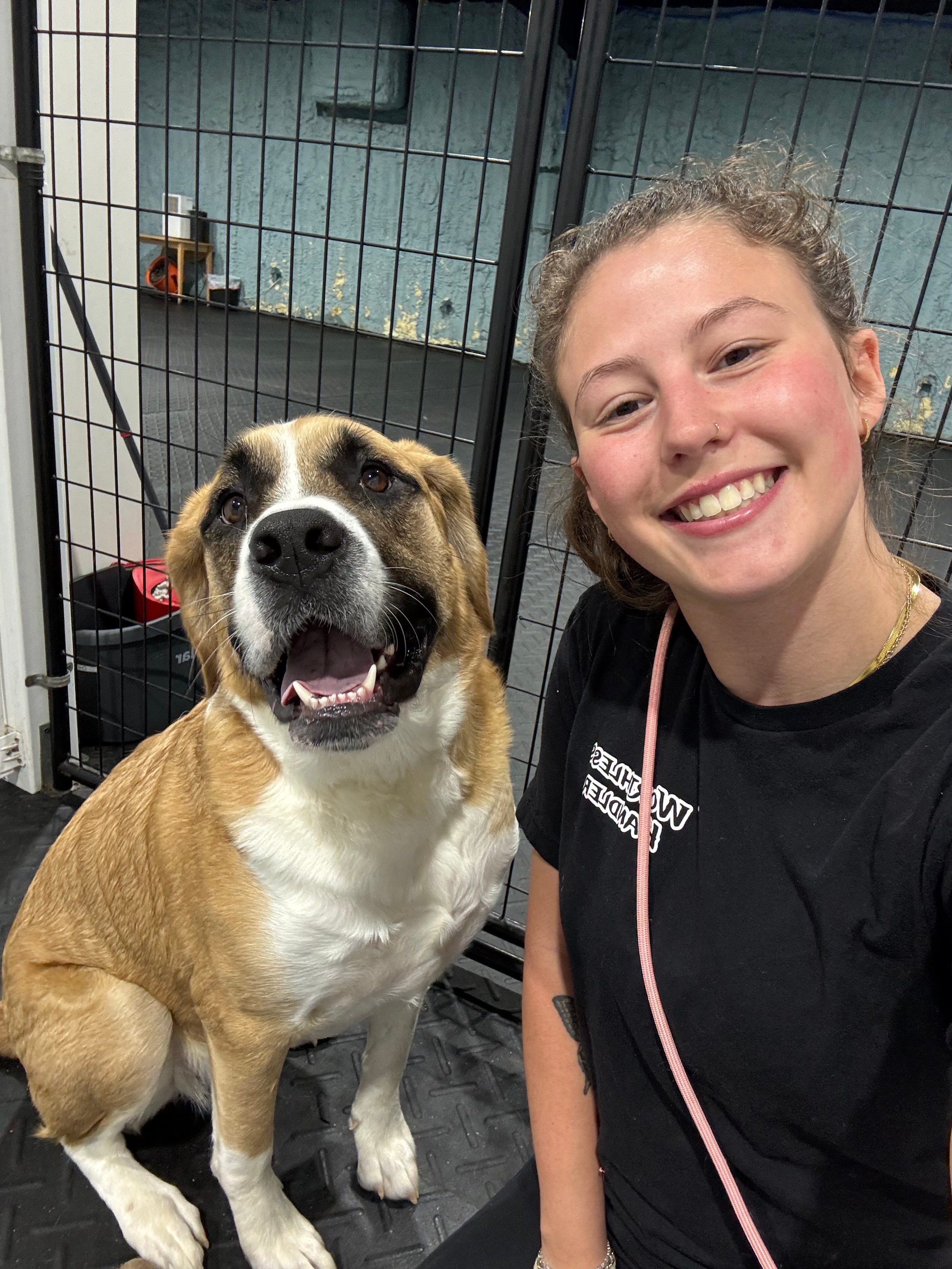 A Ridgeside K9 trainer with a Saint Bernard mix at the Knoxville facility