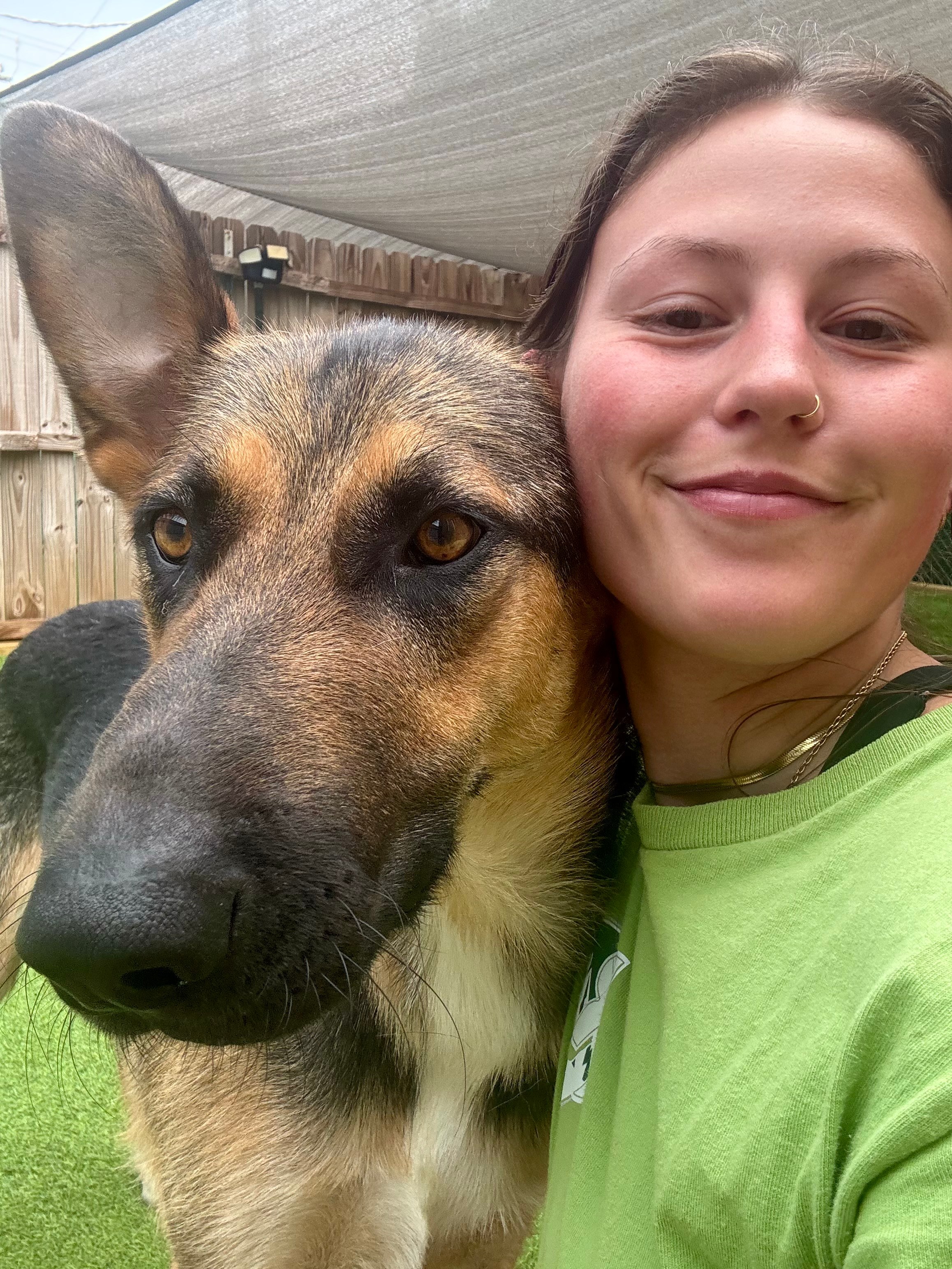 A Ridgeside K9 trainer with a calmly settled German shepherd
